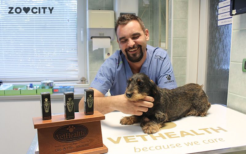 Veterinar Benčić predstavlja: CBD/CBG kapljice za pse