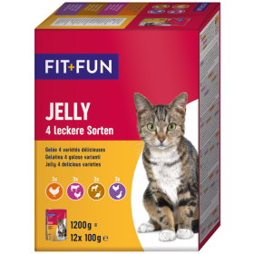 FIT+FUN ele 4 okusi Multipack 12x100 g